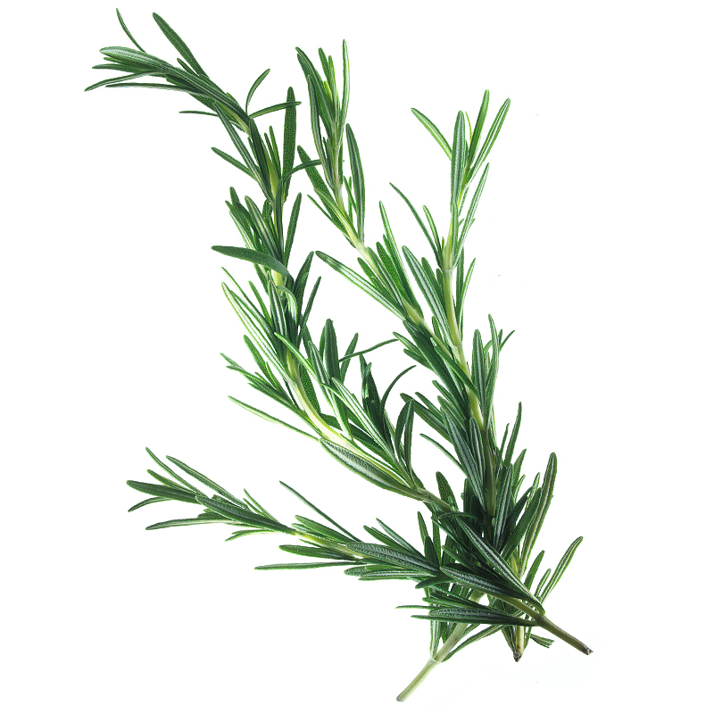 Rosemary granulated <2mm