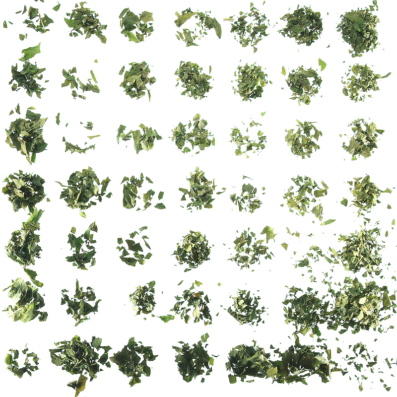 Celery leaves ground