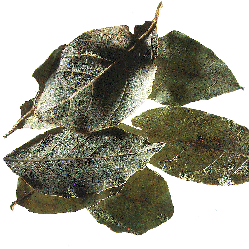 Laurel leaves, ground