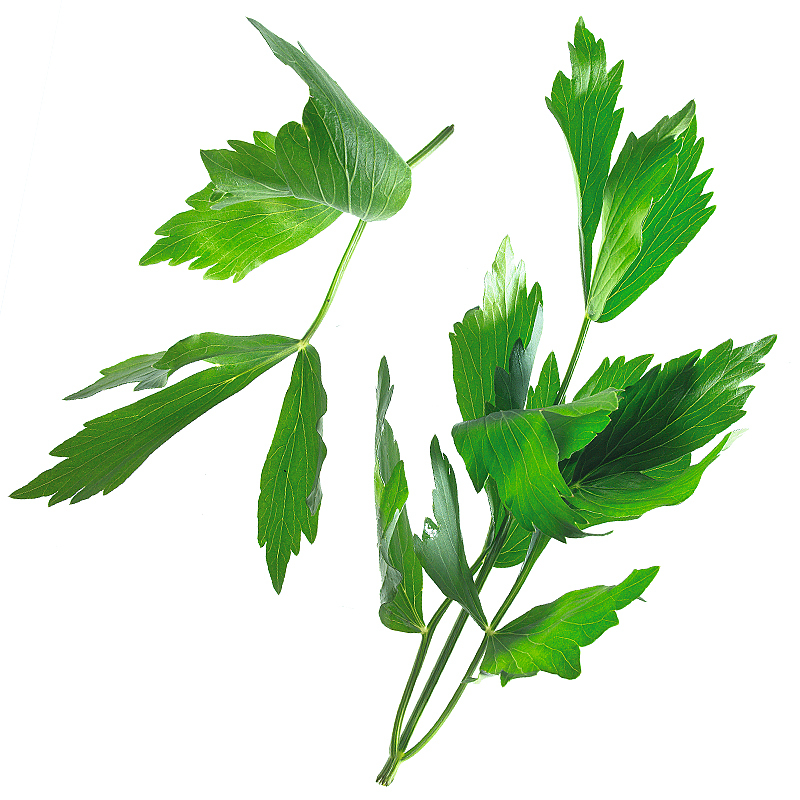 Lovage leaves 1-7mm