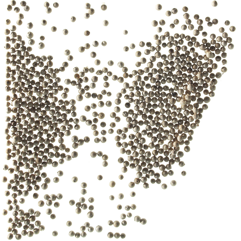 White Pepper granulated <1mm