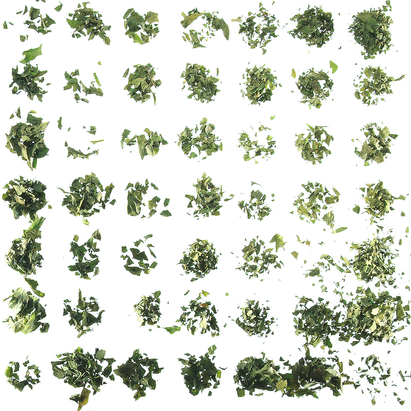 Celery leaves 1-5mm