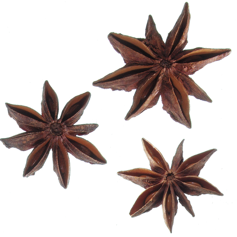 Star Aniseed ground