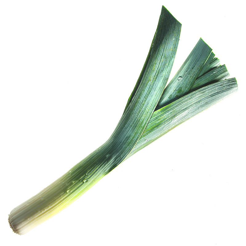 Leek cut 0.5 - 1.5 cm