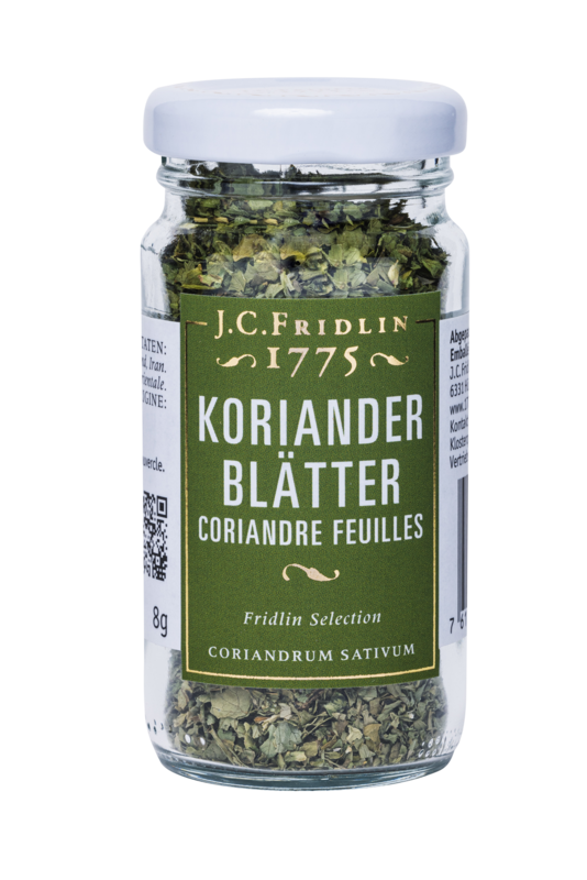 Korianderblätter